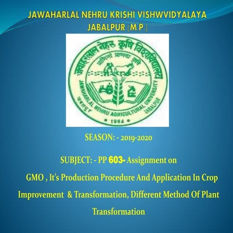 about genetic modified orgenism