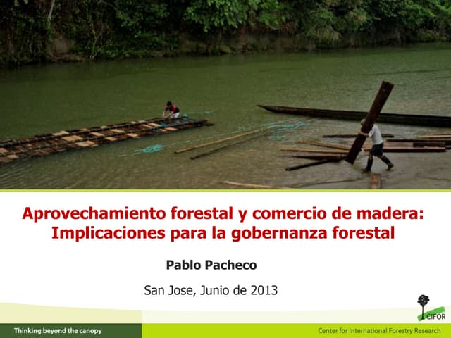 thumbnail of  Aprovechamiento forestal y comercio de madera: Implicaciones para la gobernanza forestal