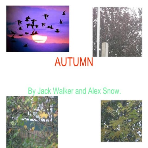 Power Point Alex and Jack