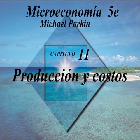 Producción y costos