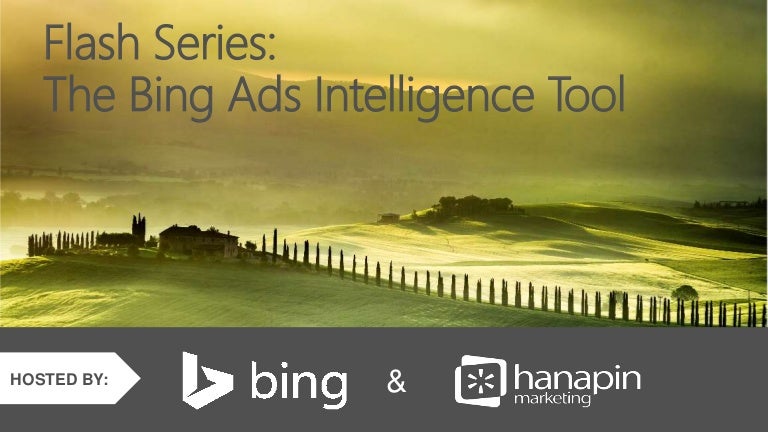 bing ads intelligence