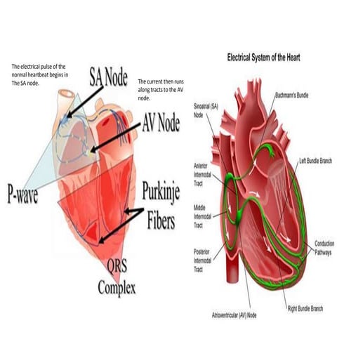 Electrical Conduction | PPTX