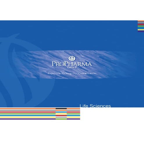 Ppg Capabilities 2010