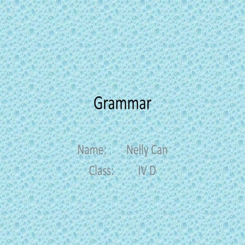 Possessive Adjectives