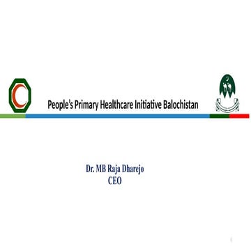 PPHI-B Presentation 20 Nov 2025. FINAL CEO.pptx