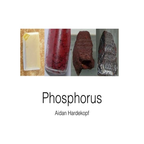 P phosphorus | PDF