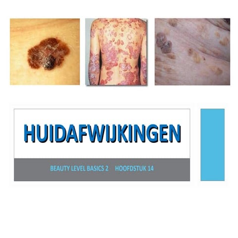 Pp Huidaandoeningen H15 Blb 2 16 17