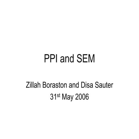 PPI & SEM.ppt
