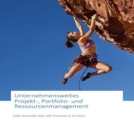 PPM - Portfolio-Projektmanagement mit SAP