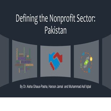 Defining Non Profit Sector Organization