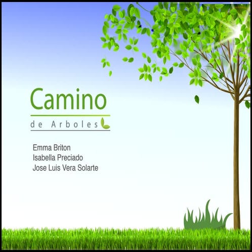 Camino de Arboles