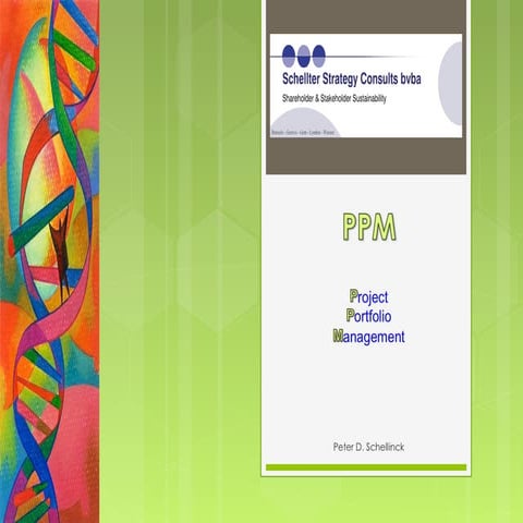 Project Portfolio Management 2015