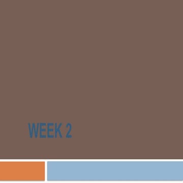 PROJECT MANAGEMENT Work Breakdown Structure