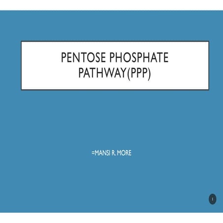 Pentose phosphate pathway (PPP)