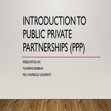Comprehensive Overview of Public-Private Partnerships (PPP) in ...