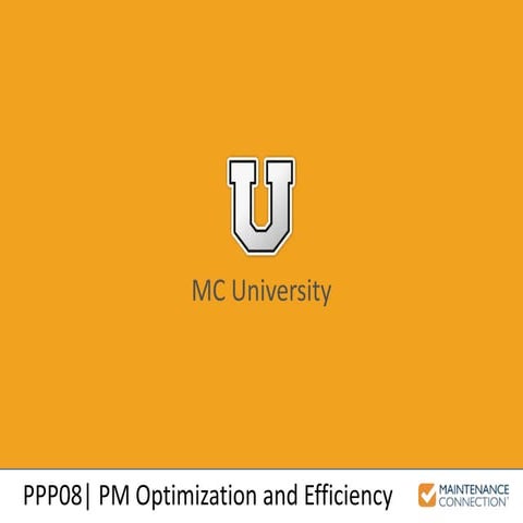 PPP08 - PM Optimization and Efficiency