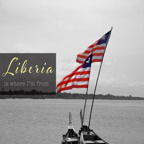 Professional Persona Project