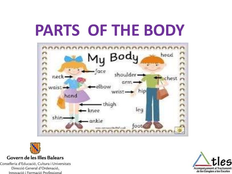 Parts of the Body 2