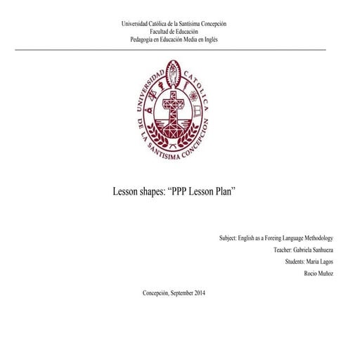 Ppp lesson plan format