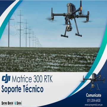 PPPT | PDF
