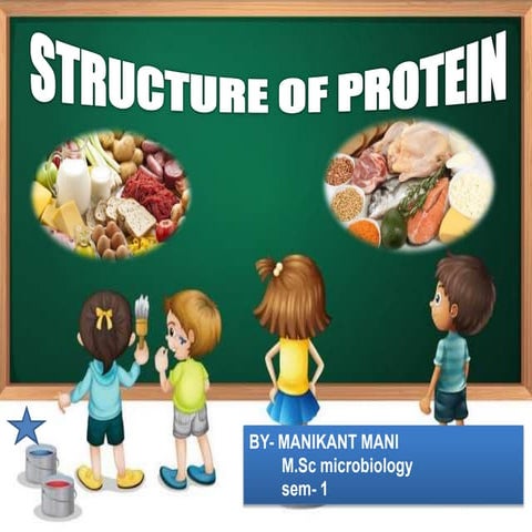 protein structure ppt by manikant mani