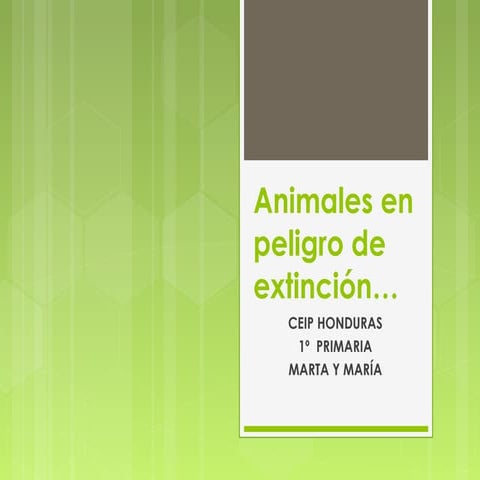 Animales en peligro de extinción