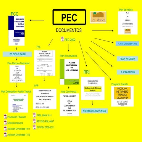 PEC 6