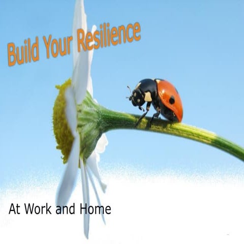 Build your resilience 