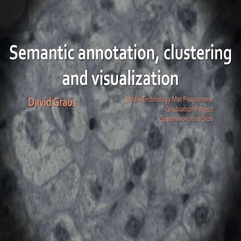Semantic annotation, clustering and visualization