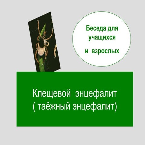 Клещевой  энцефалит