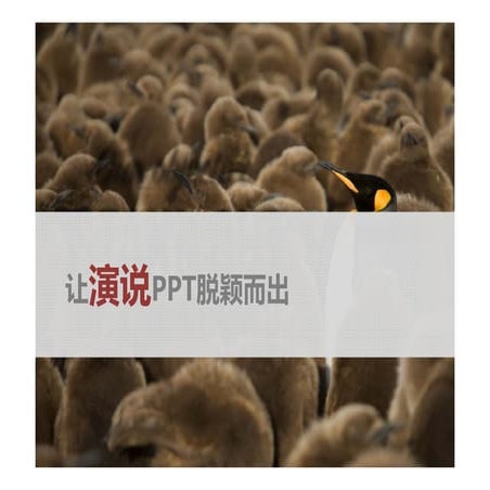 Stand out your presentation - 让演讲PPT脱颖而出