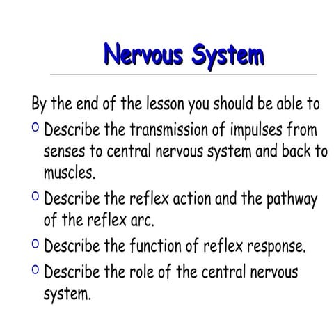 Unit 4. nervous system | PPT