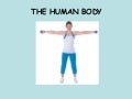 The human body