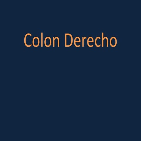 COLON DERECHO.