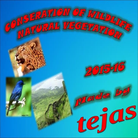 natural vegetation &wild life