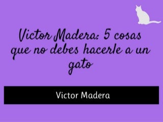 Consejos de Victor Madera: 5 cosas que nunca debes hacerle a un gato