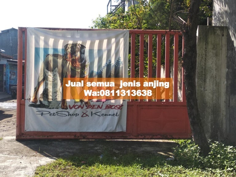 Fasilitas Lengkap!,WA:0811313638/081232308889 VDB Petshop Malang,Pets…