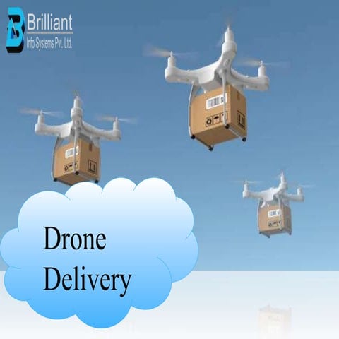 Drone delivery system