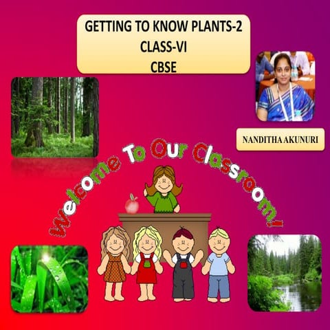 GETTING TO KNOW PLANTS-2 (CLASS VI) CHAPTER-7 CBSE