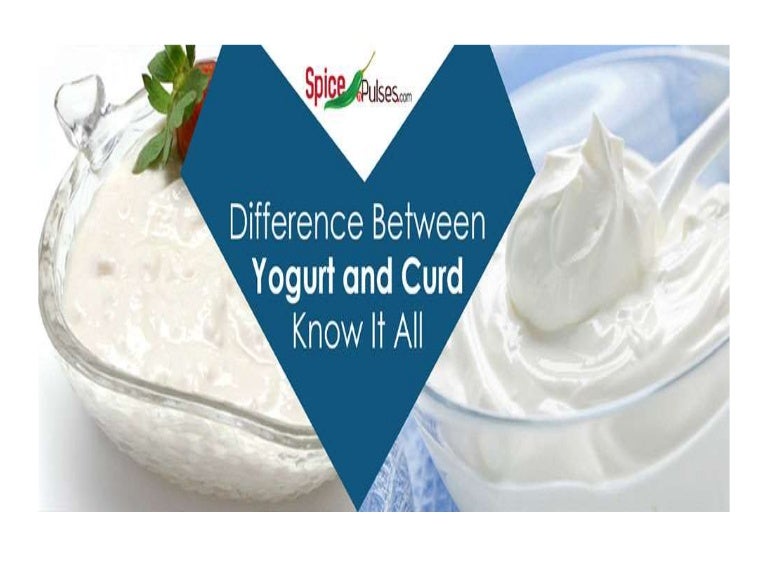 Difference Between Yogurt and curd