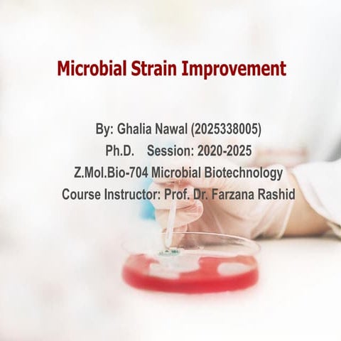 Ppt.strain improvement by ghalia nawal