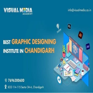 Motion Graphics animator & Visual Effects resume (1) | DOCX