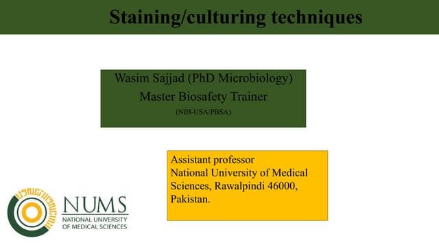PPT.6 Staining and culture techniques copy.pptx
