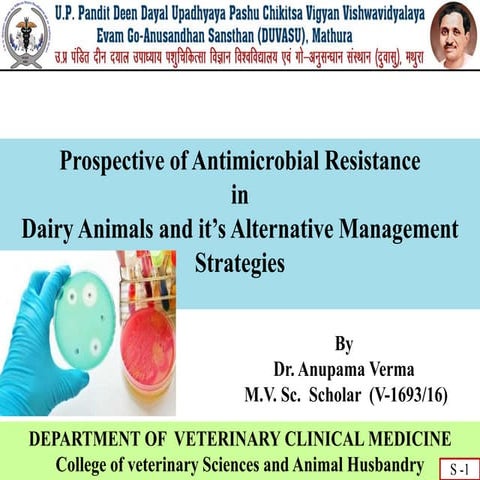 Antimicrobial Resistance in Dairy Animals and it's Alternative Management