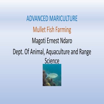 mullet fish farming PPT.pptx