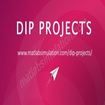 DIP Projects Research Guidance