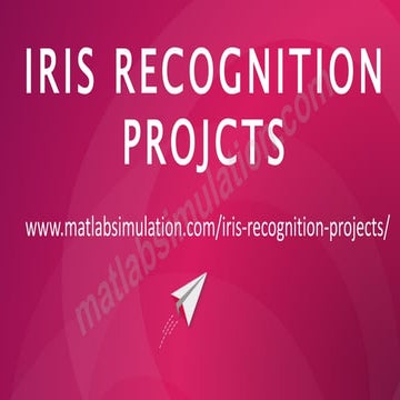 IRIS Recognition Projects Research Topics