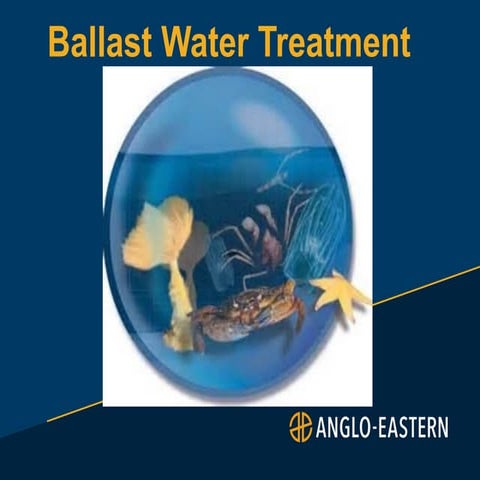 Ballast Water Treatment Systems