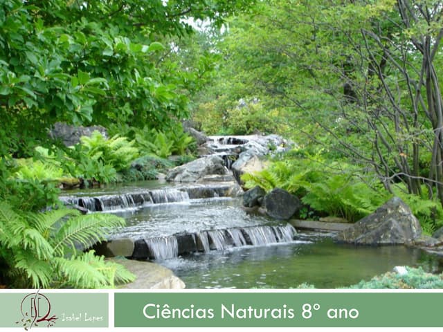 Ppt 8º ano de escolaridade - Ciênci...