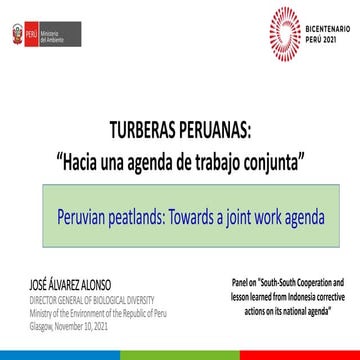 Peruvian peatlands: Towards a joint work agenda